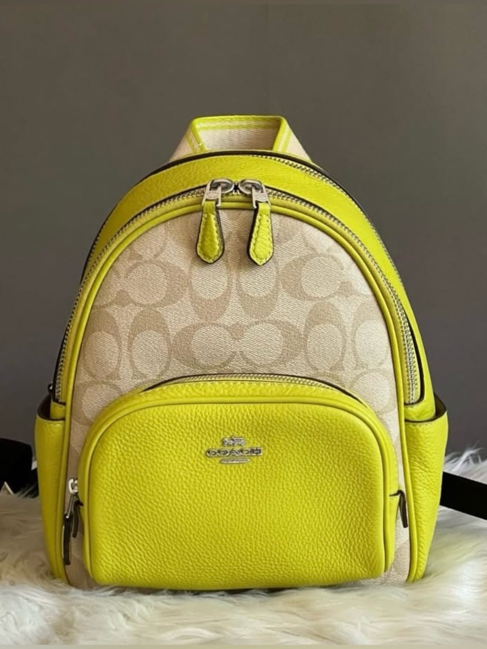 CJ594 - Coach Mini Court Backpack in Signature Canvas